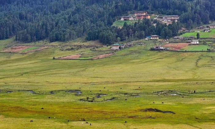 不丹田园风景