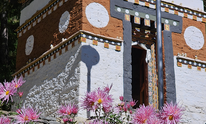不丹春季花季景色